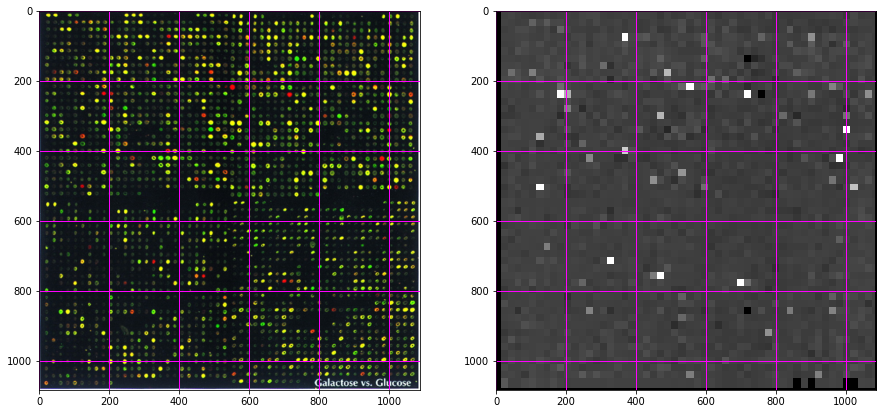 ../_images/adv2_microarray_12_0.png