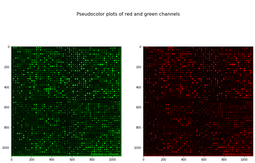 ../_images/adv2_microarray_4_0.png